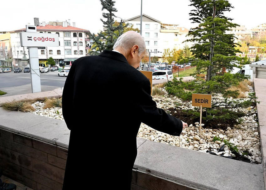 Eli kanlı bölücü terör örgütü PKK'nın bebek katili elebaşısı Abdullah Öcalan'ı TBMM'ye davet eden MHP lideri Bahçeli bu sefer de MHP genel merkezi önüne üstünde "Biz Kardeşiz" yazılı ağaç fidanları dikti. 