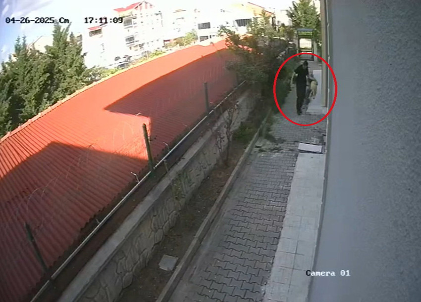 Başkent Ankara'da 28 yaşındaki bir genç doktorun sokak köpeklerini sahiplenme bahanesiyle evine aldığı ve ardından da parçalayarak öldürdüğü iddia edildi. Ortaya çıkan görüntüler ve iddialar sonrasında şüpheli ödoktor tutuklandı.