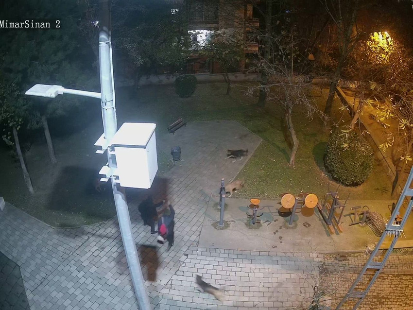 Sokakta silahlı maganda kamerada! Kadın ''beni vur'' dedi, çekti vurdu! - Resim: 1