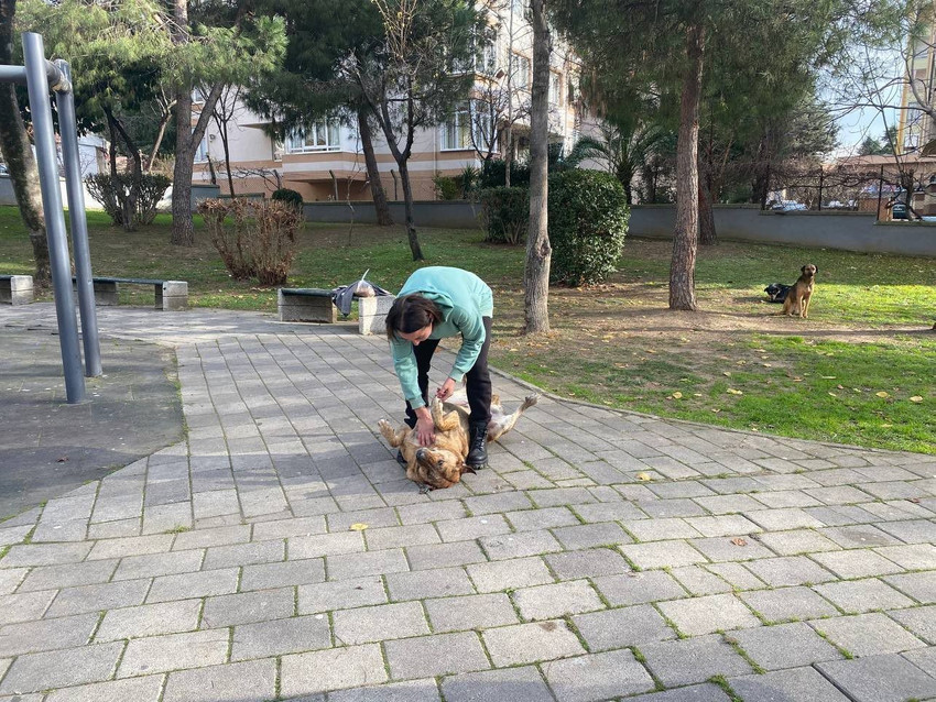 Sokakta silahlı maganda kamerada! Kadın ''beni vur'' dedi, çekti vurdu! - Resim: 4