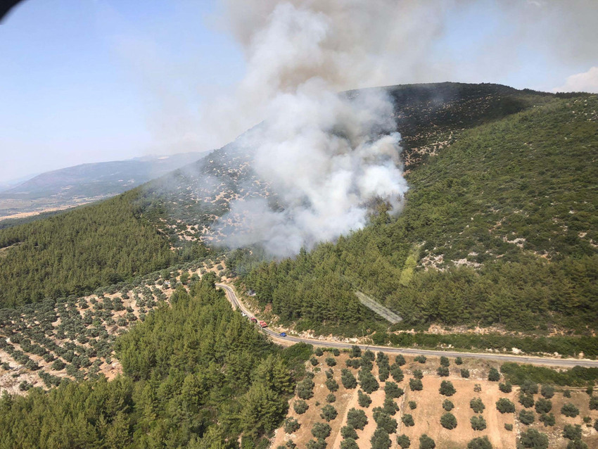 Bursa'nın ardından Muğla'nın Milas ilçesinde de ormanlık alanda yangın çıktı.