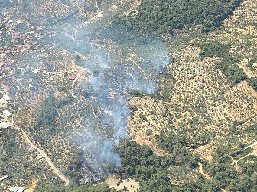 Aydın, Mersin, Bolu ve Çanakkale'de ormanlık alanda yangın çıktı. Alevleri söndürmek için çalışma başlatıldı.