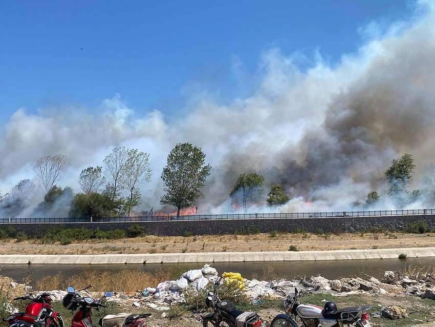Aydın, Mersin, Bolu, Çanakkale ve Manisa'da ormanlık alanda yangın çıktı. Alevleri söndürmek için çalışma başlatıldı.