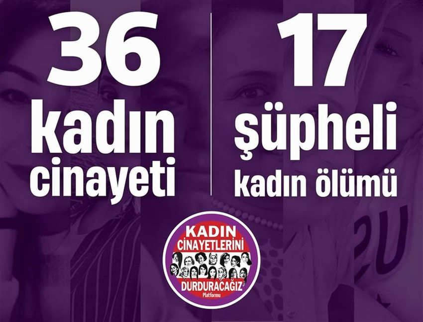 Türkiye 2024 yılında da peş peşe yaşanan kadın cinayetleriyle sarsıldı. Kadın Cinayetlerini Durduracağız Platformu'nun verilerine göre 29 gün süren Şubat ayında 36 kadın öldürüldü.