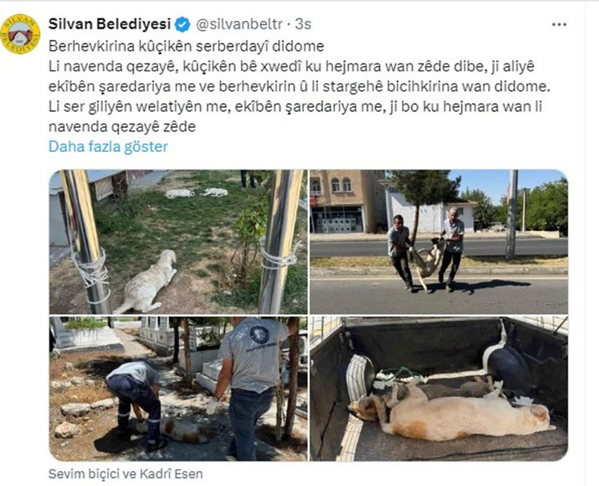 Meclis'te kabul edilen sokak hayvanları yasasına ''ret'' oyu veren DEM Parti'nin Silvan Belediyesi, sokak köpeklerini toplamaya başladı.