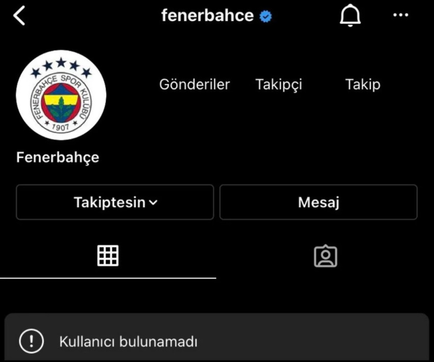 Fenerbahçe'nin Instagram sayfası