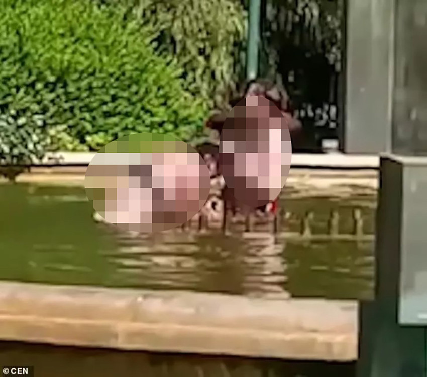 Şehrin göbeğinde dehşet: Yarı çıplak haldeki kadını süs havuzunda boğmaya çalıştı - Resim : 1