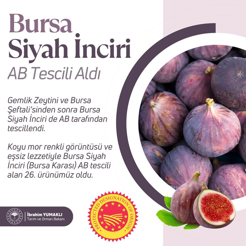 Bursa karası artık AB tescilli - Resim : 1
