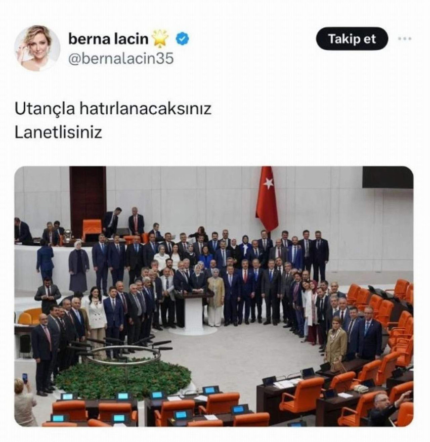 Kamuoyunda büyük tepki çeken ve muhalefetin itirazlarına rağmen AK Parti ve MHP'li milletvekillerinin oylarıyla Meclis'ten geçen sokak hayvanları düzenlemesi yasası Resmi Gazete'de yayımlanarak yasalaşırken, düzenlemeye "evet" diyen vekilleri çektirdikleri poz tepki çekmişti. Milletvekillerinin o pozunu paylaşarak “Utançla hatırlanacaksınız lanetlisiniz” ifadelerini kullanan Berna Laçin hakkında "TBMM'yi Alenen Aşağılama" suçundan resen soruşturma başlatıldı.