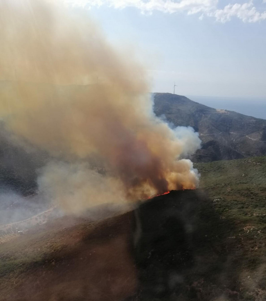 İzmir'de peş peşe orman yangını - Resim : 1