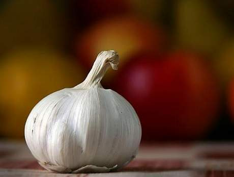 Direncinizi arttırın...