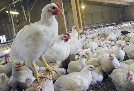 Merak edilen sorular ve yanıtları