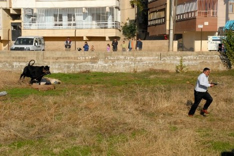 Kurban Bayramı
dan en komik kareler