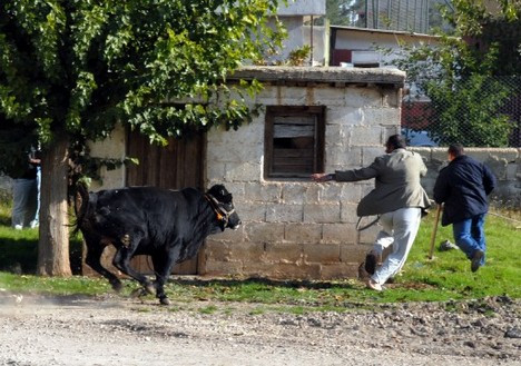 Kurban Bayramı
dan en komik kareler