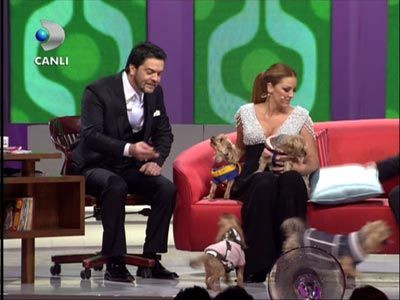 Beyazı canlı yayında köpek ısırdı
