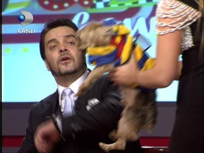 Beyazı canlı yayında köpek ısırdı