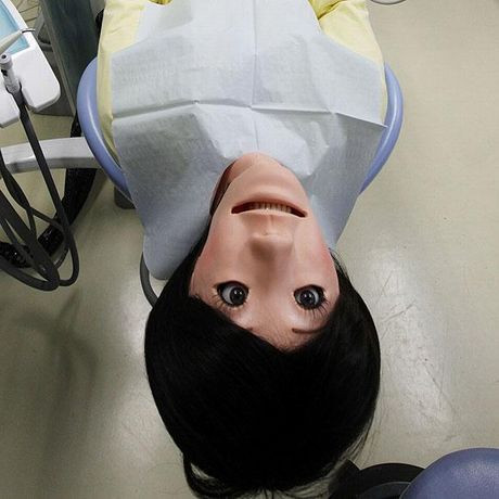 Hasta robot