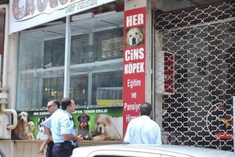 Hayvanları böyle ölüme terketti!