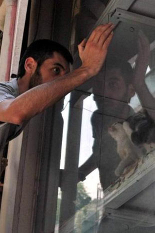 Hayvanları böyle ölüme terketti!