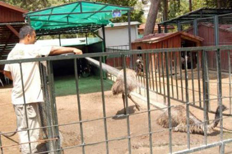 Mersinde sıcaklar bunalttı