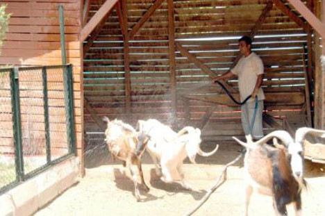 Mersinde sıcaklar bunalttı