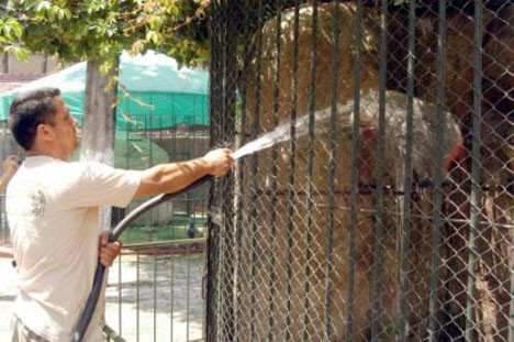 Mersinde sıcaklar bunalttı