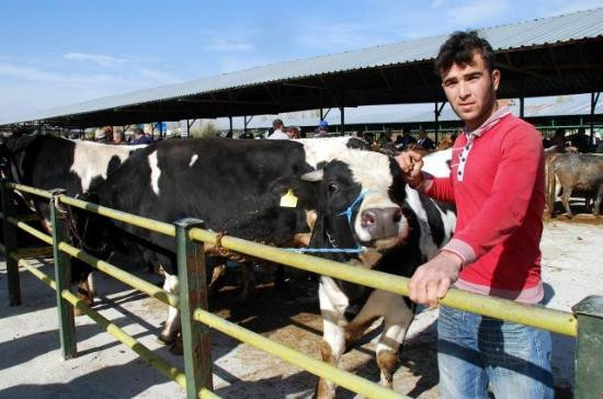 Fiyatı dudak uçuklatıyor