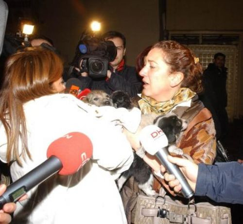Havyan satış mağazasında yangın!