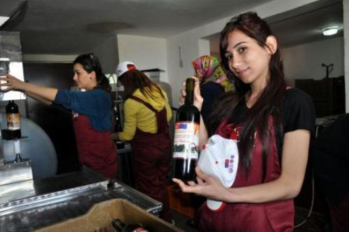 Usta şarapçı olarak üretime başladılar!
