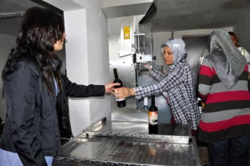 Usta şarapçı olarak üretime başladılar!