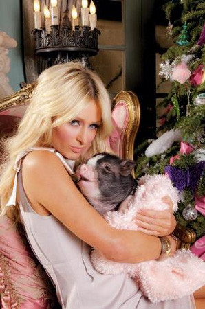 Paris Hilton evinin kapılarını açtı