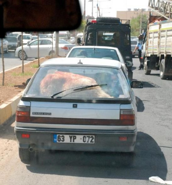 Onun orada ne işi var?