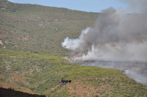 İzmir Seferihisar orman yangını korkuttu