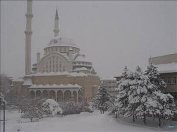 Türkiyenin otomobil raporu