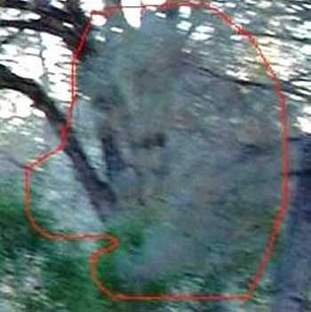 Fotoğraftaki belli belirsiz görüntüler in mi, cin mi ?
