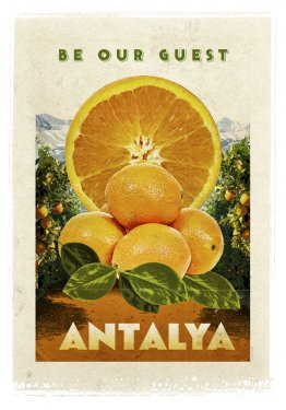 Afişlerle Türkiye !
