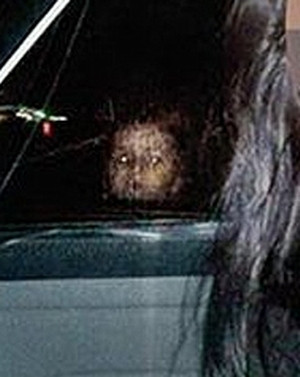 Dünya bu fotoğrafları çözemedi