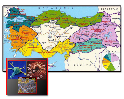 İşte Türkiyenin kanser haritası