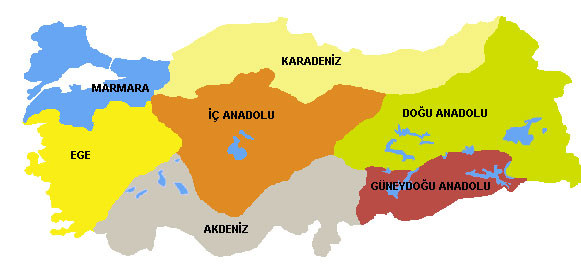 İşte Türkiyenin kanser haritası