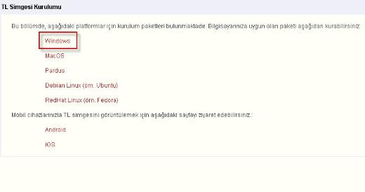TL simgesinin bilgisayarda yazılışı !