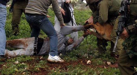 İsrail askerinden inanılmaz işkence