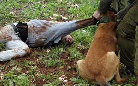 İsrail askerinden inanılmaz işkence