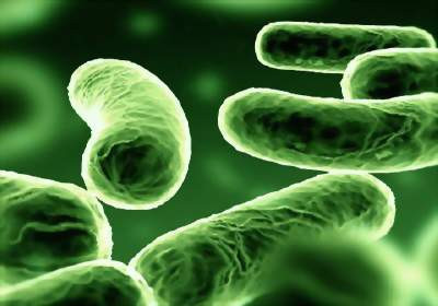 Bakterileri durduracak antibiyotik kalmayabilir
