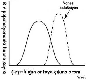 Bakterileri durduracak antibiyotik kalmayabilir