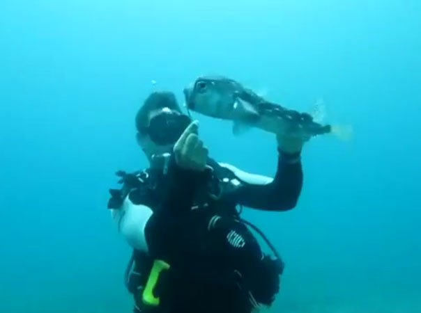 Dalgıçtan yardım istedi