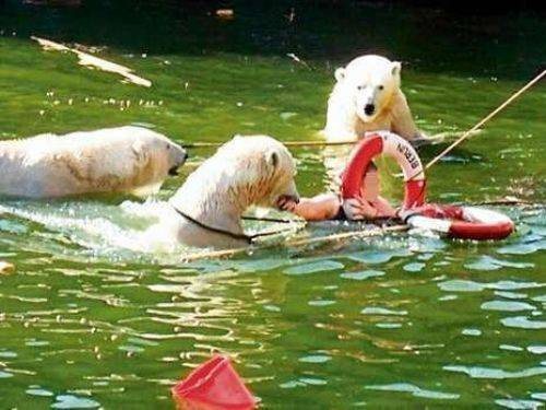 Hayvanların insanlara saldırdığı anlar