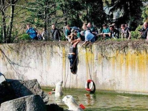 Hayvanların insanlara saldırdığı anlar