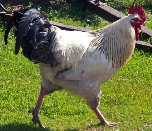 1 Temmuzda hayatımızda neler değişecek?
