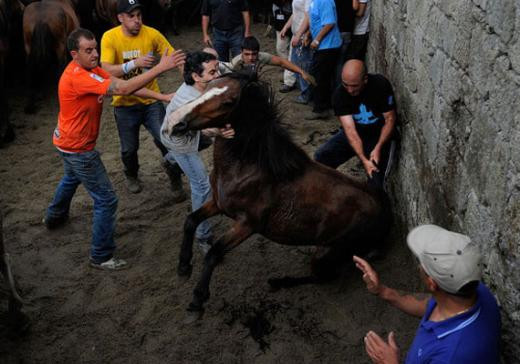 İspanya’da 400 yıllık geleneğe tepki var