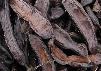 Keçiboynuzunun yararları